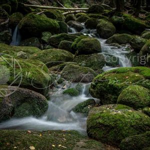 Fotoment-231058