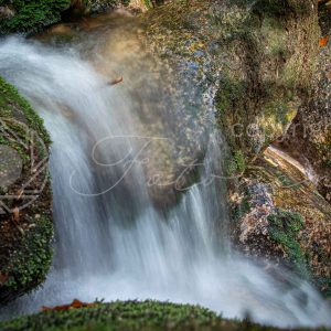 Fotoment-231063