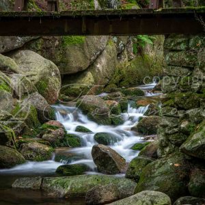 Fotoment-231064
