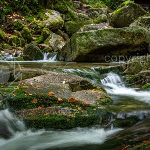 Fotoment-231065